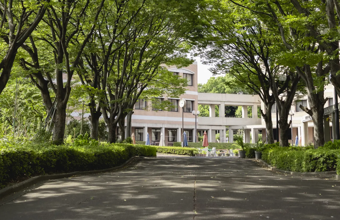 学校風景画像